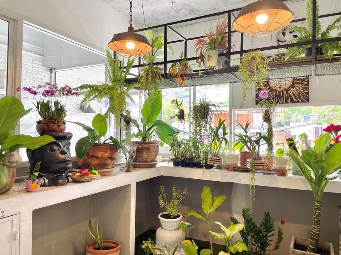 Cafe Home Chiang Mai Extérieur photo